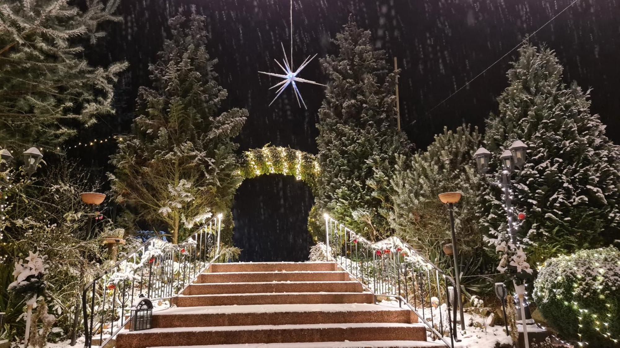 מיכנדורף Hotel Am Wald B&B מראה חיצוני תמונה